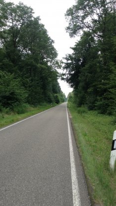 Weg naar Scheibenhardt