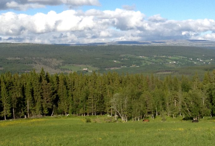 Ongerwaeg naar Langklopp Fjellgård