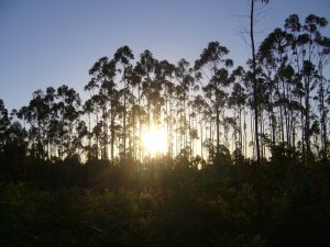 Prachtige zonsopkomst.