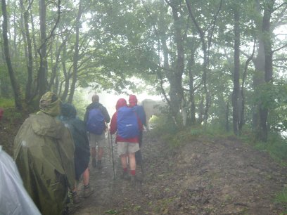 Regen.....regen....regen....en koeien