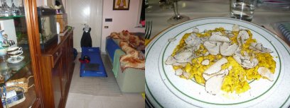 Slaapplaats achter de bank / Truffeldiner